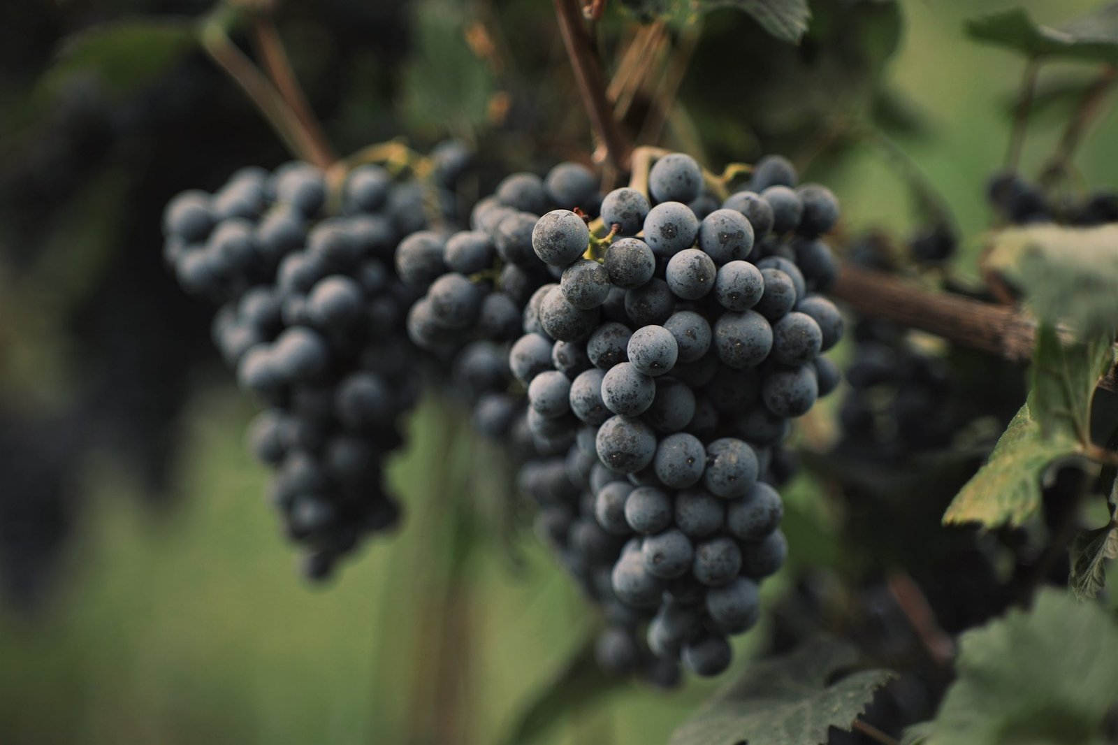 80511118_104933247688833_7796236622952923136_n-min